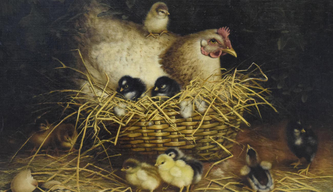 A hen sits in a basket full of straw. There are chicks in the basket with her and around her.