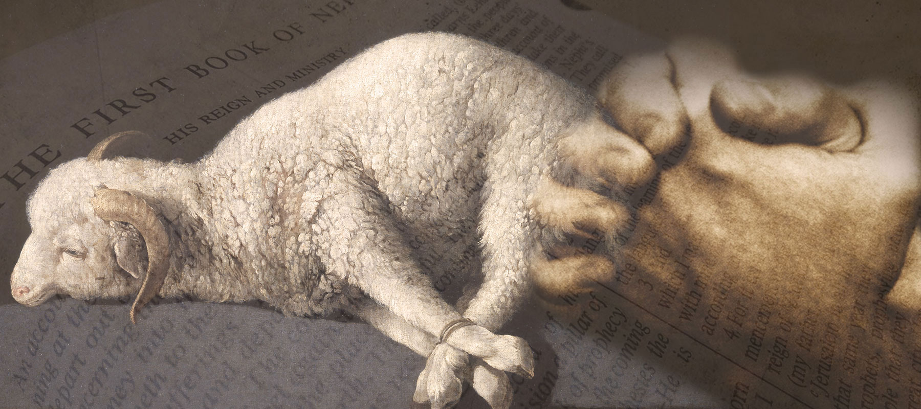 A collage of two images. On the left is a lamb bound at its feet lying down. At right is a pair of hands clasped in prayer.